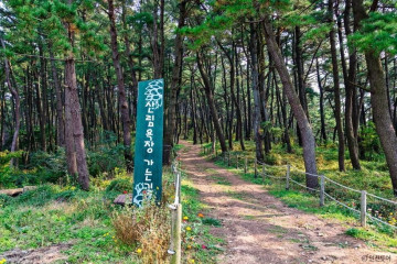 승봉도 해안산책로 여행 추천 - 메고지고