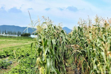 하남체육공원 여행 추천 - 메고지고