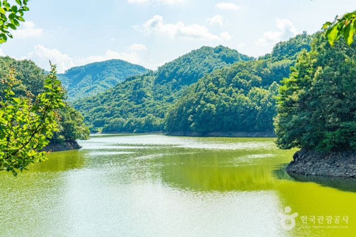 기산저수지(공주) 여행 추천 - 메고지고