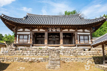 예천 금남리 황목근(팽나무) 여행 추천 - 메고지고