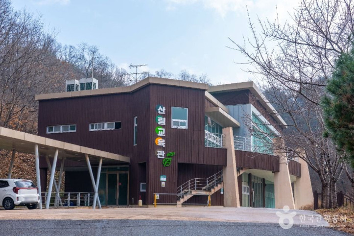 안동호반자연휴양림 여행 추천 - 메고지고
