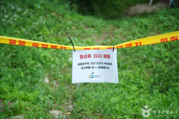 동강리버버깅 여행 추천 - 메고지고