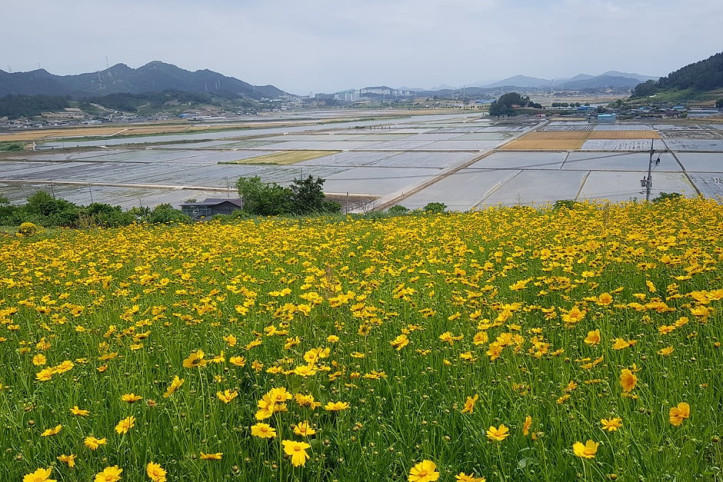 숲쟁이꽃동산 여행 추천 - 메고지고