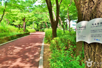 천호자전거거리 여행 추천 - 메고지고
