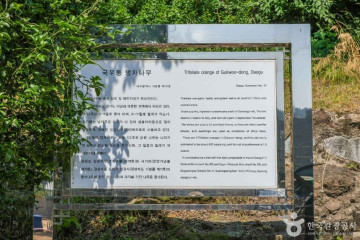 옻골동산 여행 추천 - 메고지고