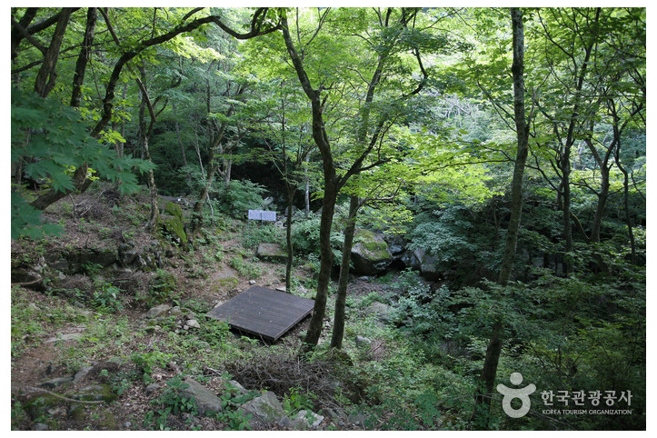 국립 지리산자연휴양림 여행 추천 - 메고지고
