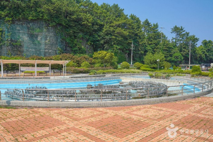 맥전포항 여행 추천 - 메고지고
