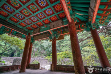 매화산(합천) 여행 추천 - 메고지고