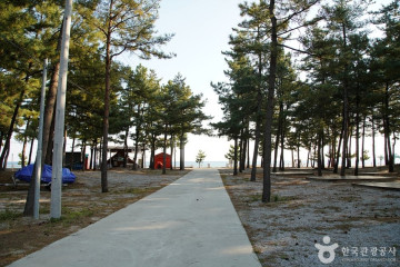 동산포해변 여행 추천 - 메고지고