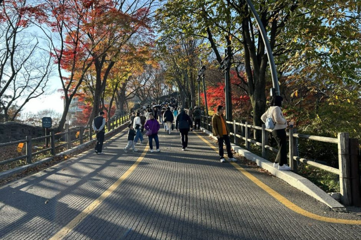 남산순환나들길 여행 추천 - 메고지고