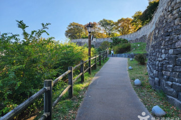 미타사(성북) 여행 추천 - 메고지고