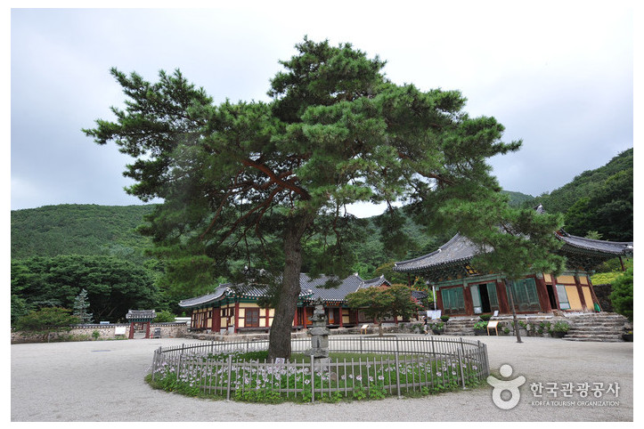위봉사(완주) 여행 추천 - 메고지고