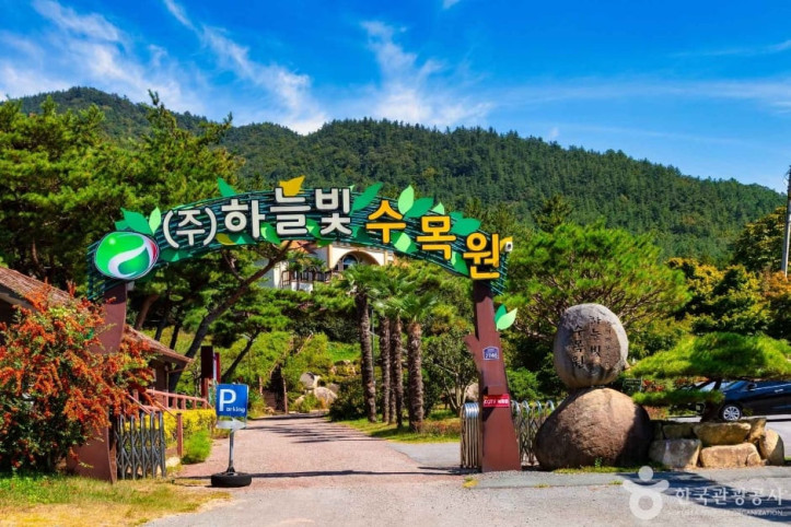 하늘빛수목원 여행 추천 - 메고지고