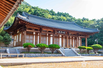 천생산성산림욕장 여행 추천 - 메고지고
