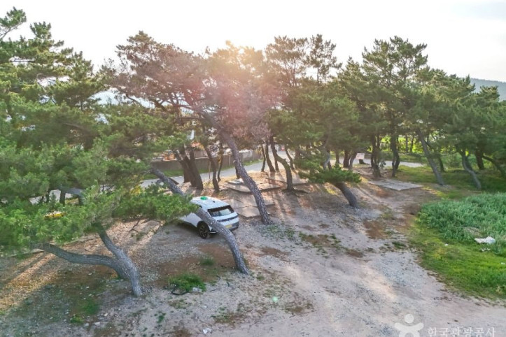 조사리간이해수욕장 여행 추천 - 메고지고