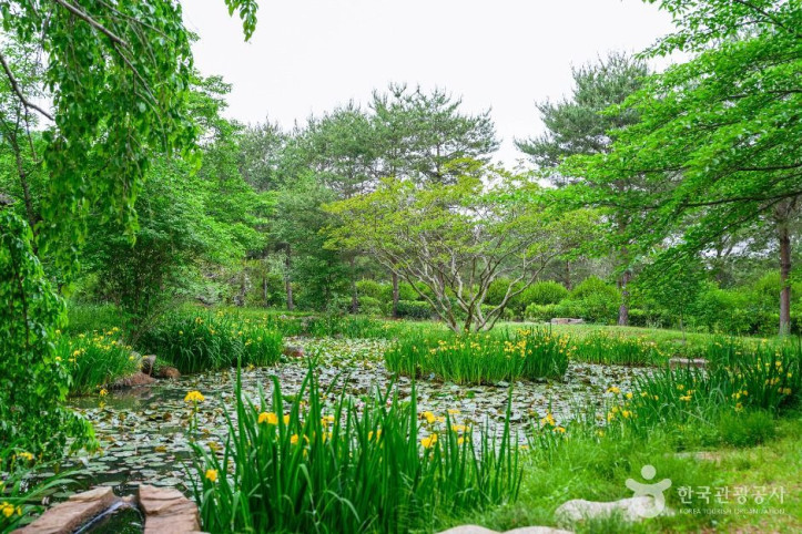 경상북도 산림환경연구원 여행 추천 - 메고지고