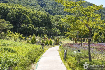 영천 목재문화체험장 여행 추천 - 메고지고