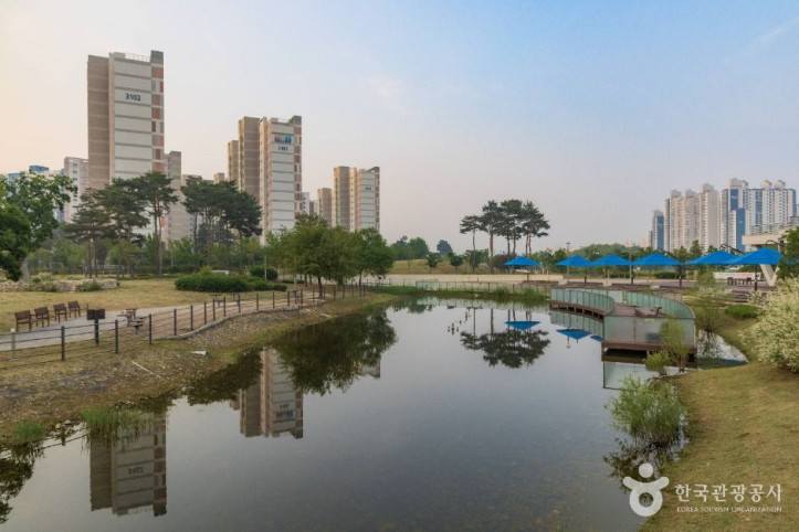 다산수변공원 여행 추천 - 메고지고