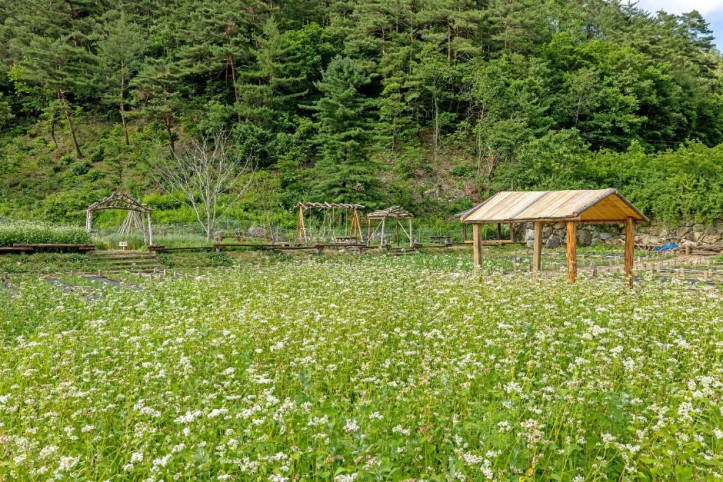 하추리산촌마을 여행 추천 - 메고지고