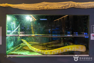 충주 조동리 선사유적 여행 추천 - 메고지고