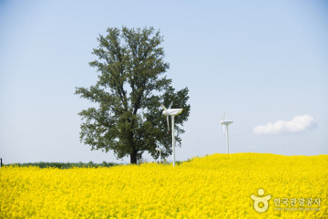 올드타임 여행 추천 - 메고지고