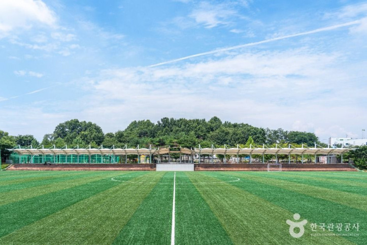 포승레포츠공원 여행 추천 - 메고지고