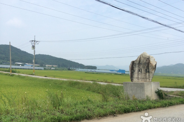철원 철새도래지 (철원평야) 여행 추천 - 메고지고