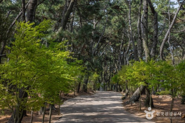 두도 (부산 국가지질공원) 여행 추천 - 메고지고