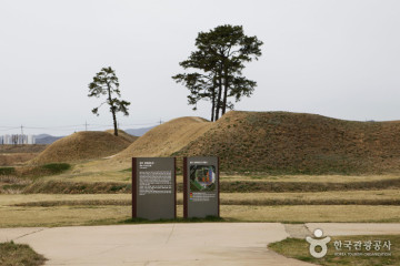 충청북도교육문화원 여행 추천 - 메고지고