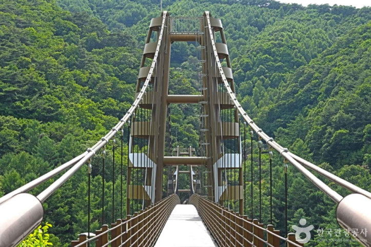 증평 좌구산 명상구름다리 여행 추천 - 메고지고