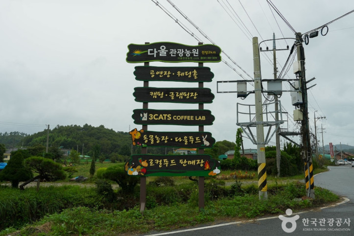 다울관광농원 여행 추천 - 메고지고