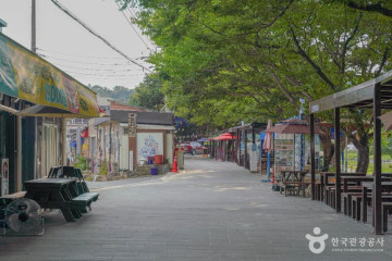 남희정 여행 추천 - 메고지고