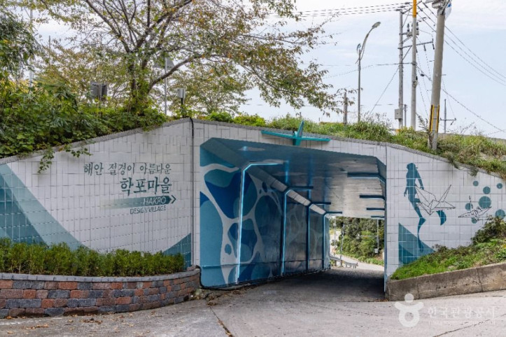 학포해안 (울릉도, 독도 국가지질공원) 여행 추천 - 메고지고