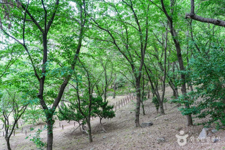 학성공원 여행 추천 - 메고지고