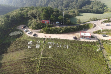 강릉 대기리마을 여행 추천 - 메고지고