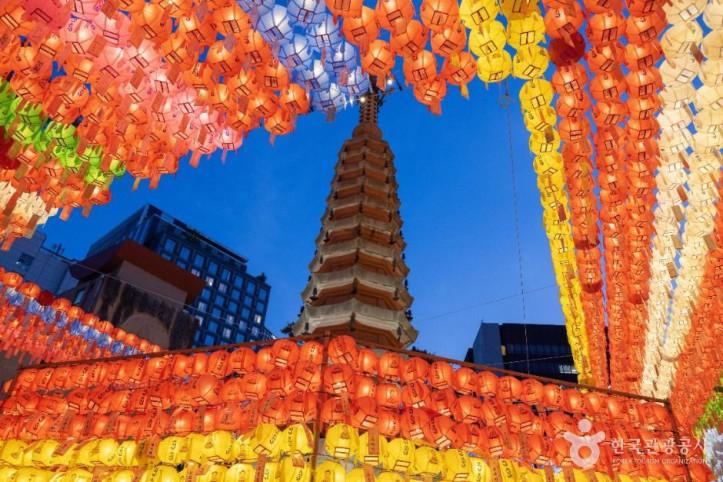 조계사(서울) 여행 추천 - 메고지고