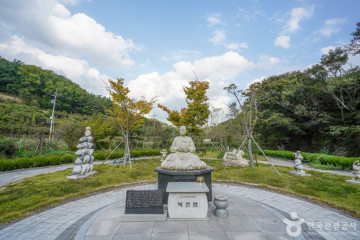 도리마을은행나무숲 여행 추천 - 메고지고