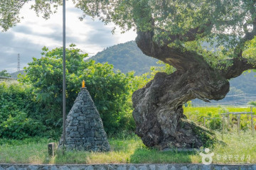 산동참생태숲 여행 추천 - 메고지고
