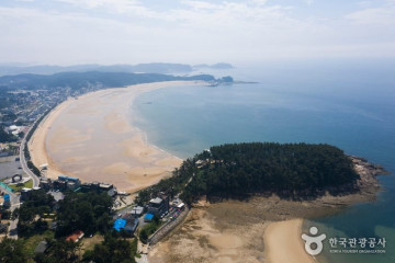 천리포해수욕장 여행 추천 - 메고지고