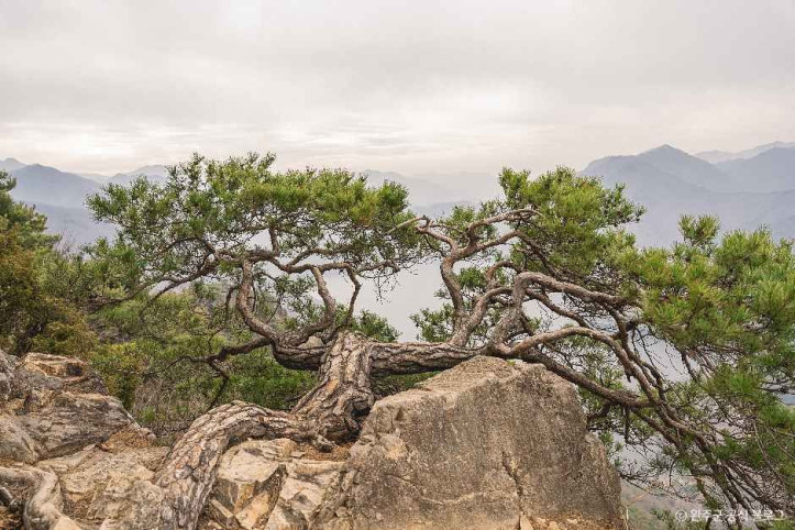 운암산(완주) 여행 추천 - 메고지고