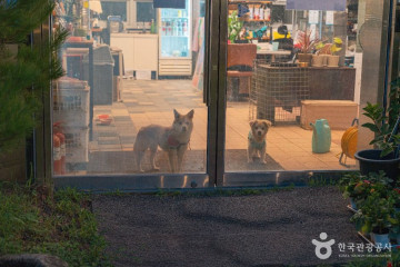 오정대공원 여행 추천 - 메고지고