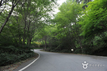 관음사(곡성) 여행 추천 - 메고지고