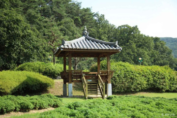 보은 속리 정이품송 여행 추천 - 메고지고