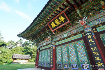 산삼 자연휴양림 여행 추천 - 메고지고