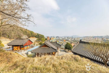 장대공원 여행 추천 - 메고지고