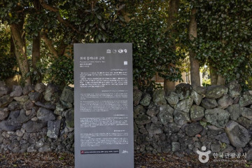 위미항 여행 추천 - 메고지고