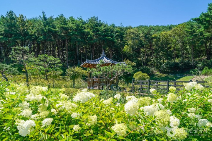 운제산산림욕장 여행 추천 - 메고지고