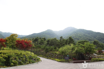 산청 전 구형왕릉 여행 추천 - 메고지고
