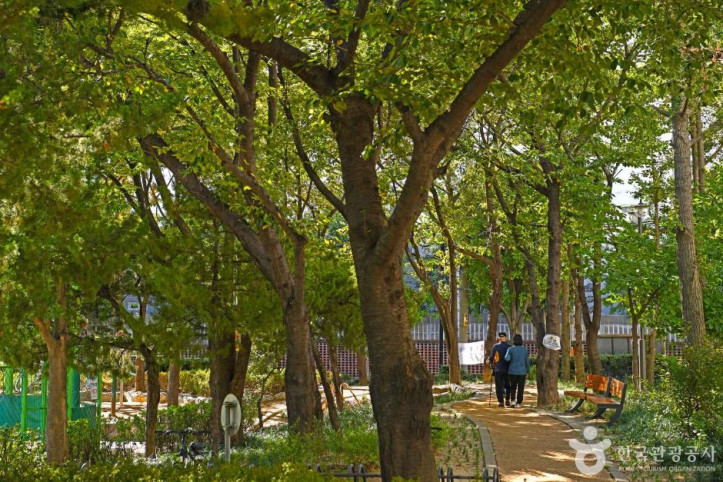 효성공원 여행 추천 - 메고지고