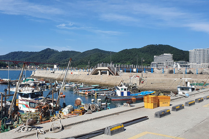 궁농항 여행 추천 - 메고지고